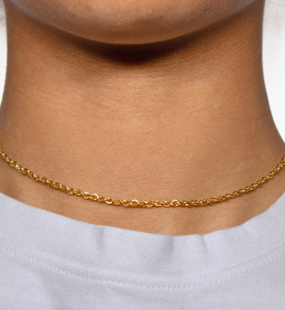 Dual Curb Chain, Yellow Gold Filled By the Bracelet